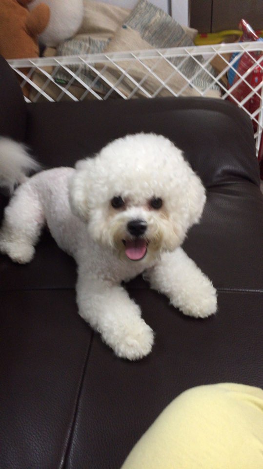 KakaoTalk_20150803_102143805.jpg