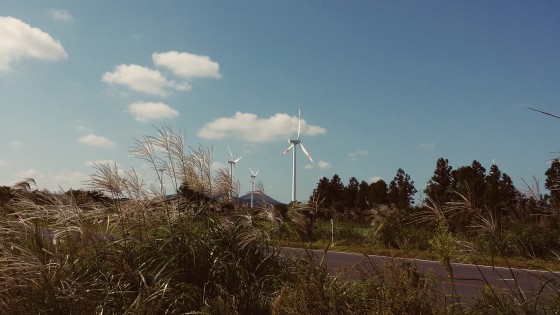 제주도여행26.jpg