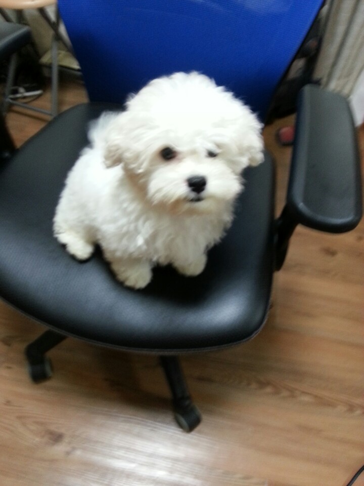 KakaoTalk_20141008_104431229.jpg