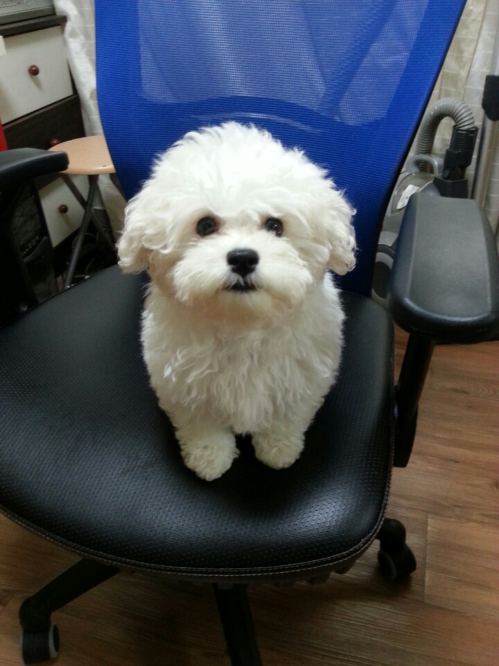 KakaoTalk_20141008_104432298.jpg