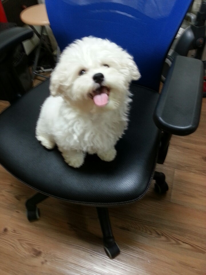KakaoTalk_20141008_104430989.jpg