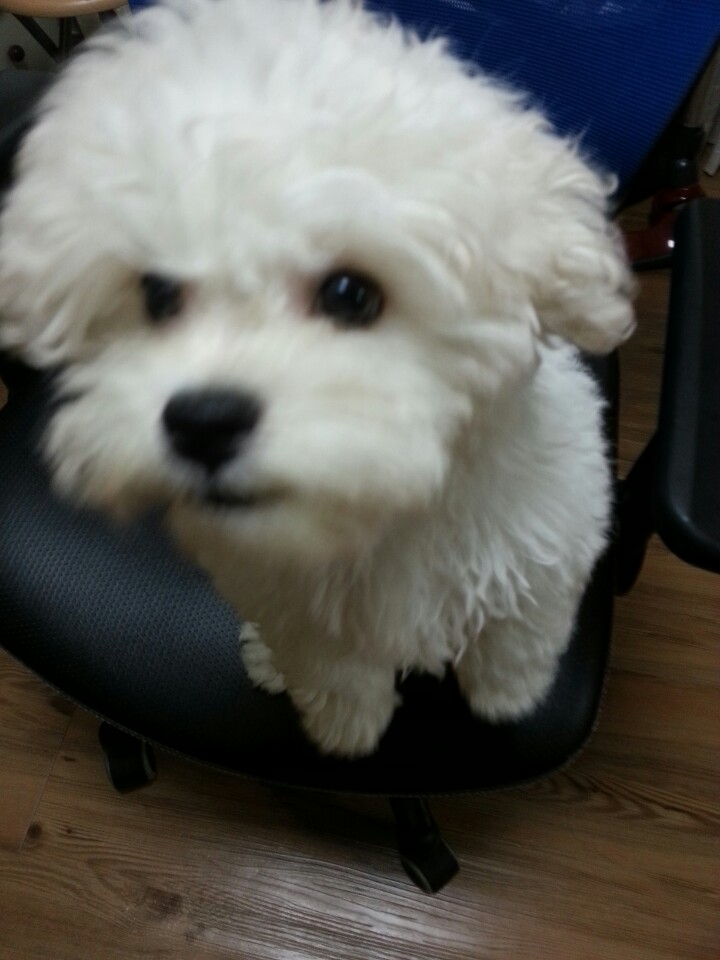 KakaoTalk_20141008_104430113.jpg