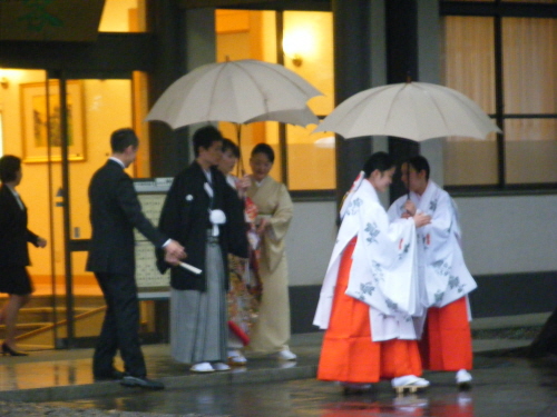 size_DSCF9090.JPG