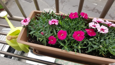 20160414_1055510.jpg