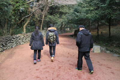 제주도_비자림10.JPG
