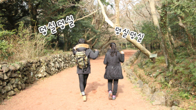 덩실덩실.gif