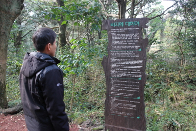 제주도_비자림20.JPG