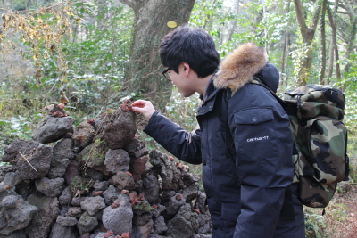 제주도_비자림14.JPG