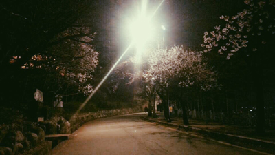2014-04-04 07.54.24 1.jpg
