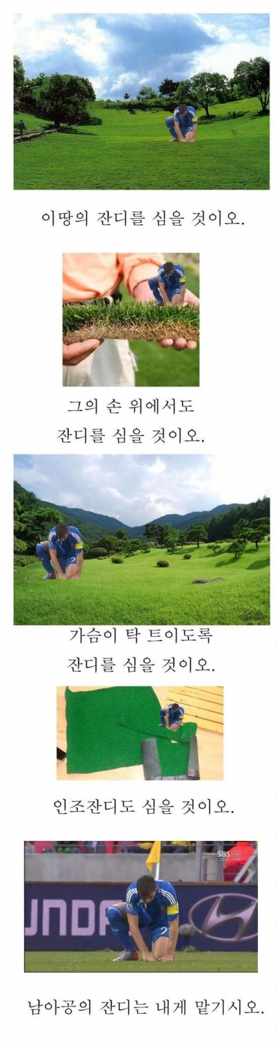 잔디.jpg